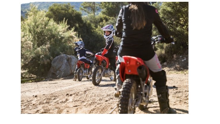 CRF110F